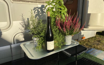 Mattips: Urter på bobilturen!